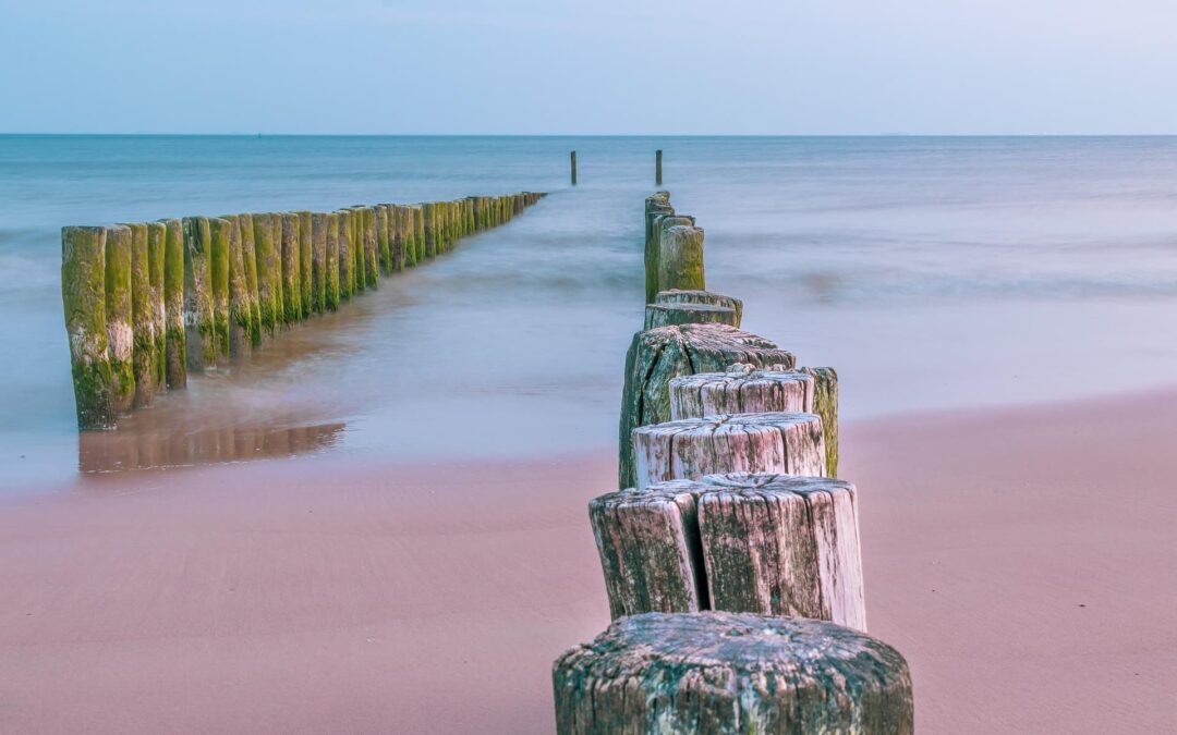 Perferendis a a totam velit et